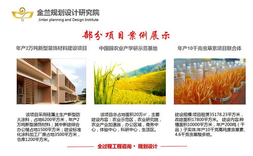 乳山旅游開(kāi)發(fā)項(xiàng)目策劃咨詢(xún) 粉煤灰與煤矸石資源化利用的創(chuàng)新規(guī)劃